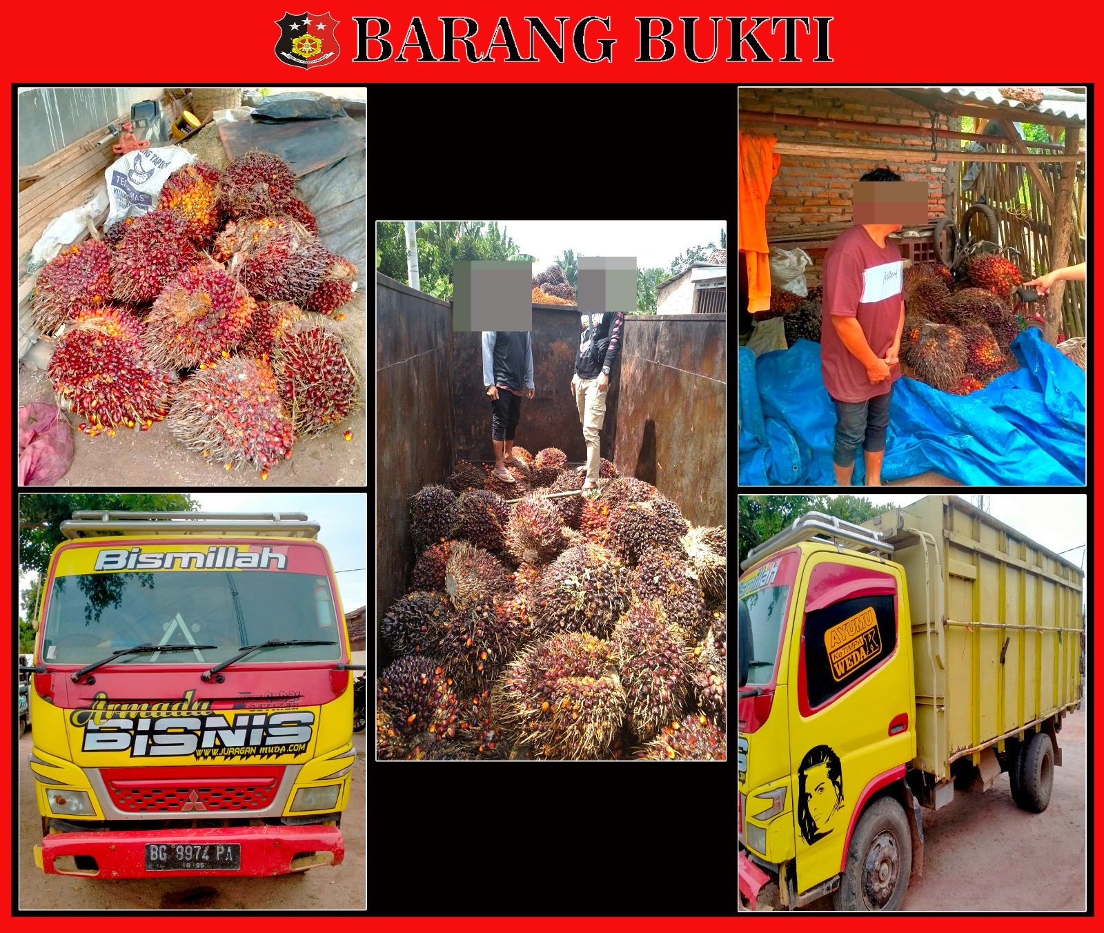 Polsek Blambangan Umpu Ringkus Diduga Pelaku Penipuan Tandan Buah Kelapa Sawit