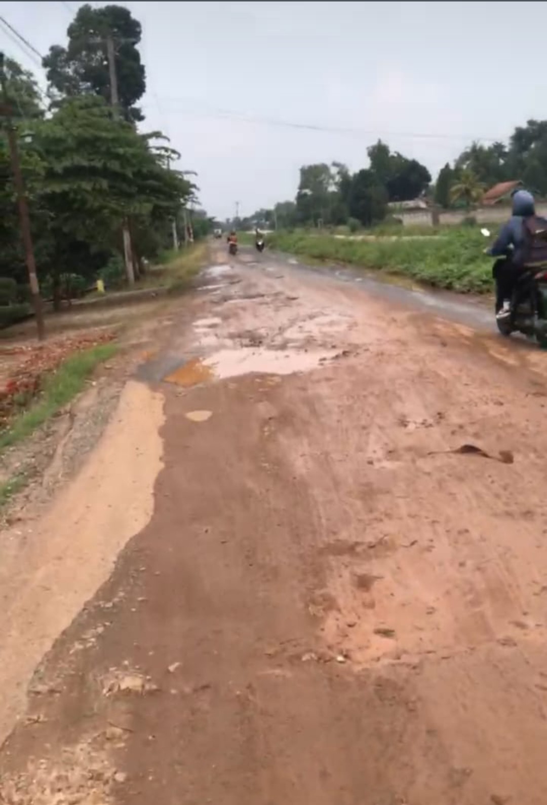 Viral Jalan Rusak, Kado Ultah ke-25 Lampung Timur