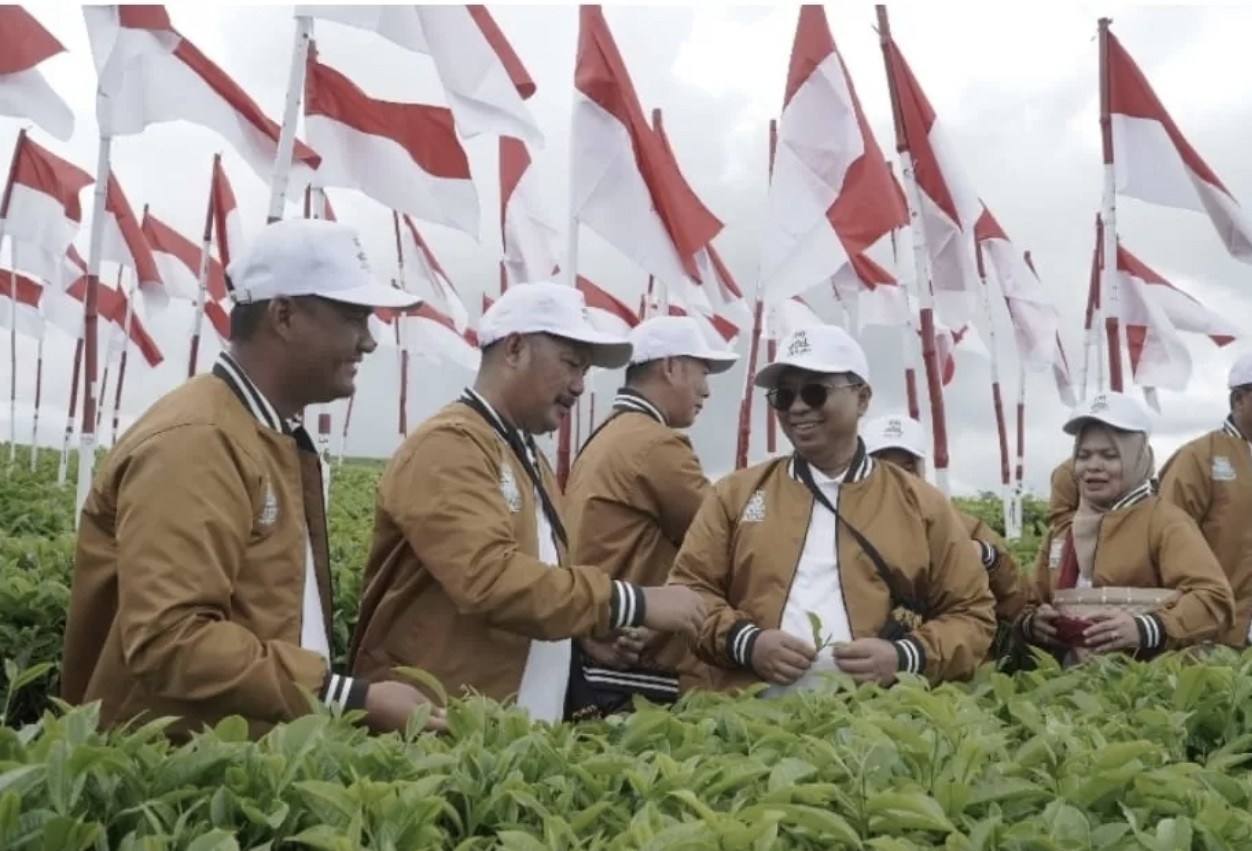 Kebun Teh Kayu Aro Rayakan Seabad, 100 Bendera Merah Putih Berkibar di Kaki Gunung Kerinci