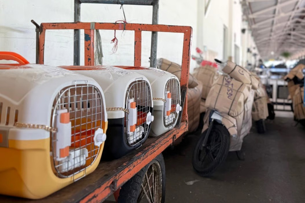 KAI Logistik Catat Pengiriman Lebih Dari 116 Ribu Hewan Peliharaan Hingga Triwulan III Tahun 2025