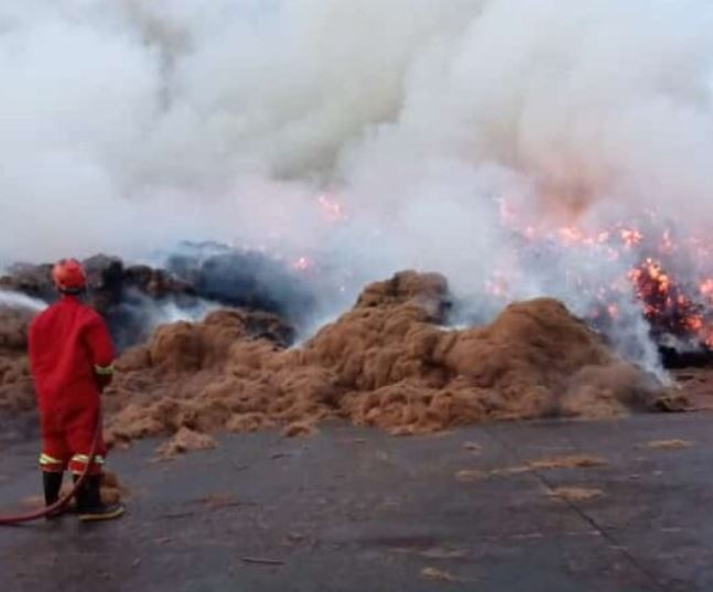 Kebakaran di PT Wongsul Lampung Selatan, Damkar Padamkan Kobaran Api