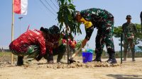 Dari Pohon yang Ditanam hingga Green House yang Dibangun, TMMD Kodim 0726 Sukoharjo Hadirkan Manfaat Nyata