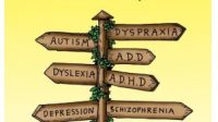 Atasi Masalah Leaky Gut, GAPS Diet Indonesia Edukasi Pola Makan Anti-Inflamasi untuk Pemulihan Kesehatan Holistik